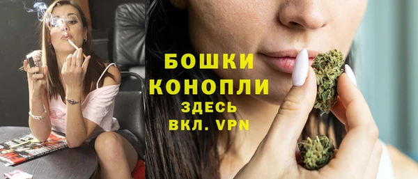 стафф Зеленокумск