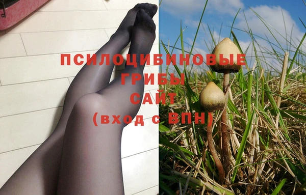 СК Зерноград