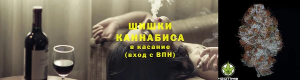 стафф Зеленокумск