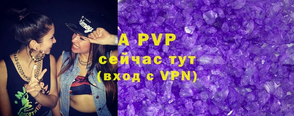 СК Зерноград
