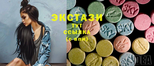 СК Зерноград