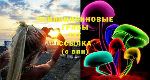 стафф Зеленокумск