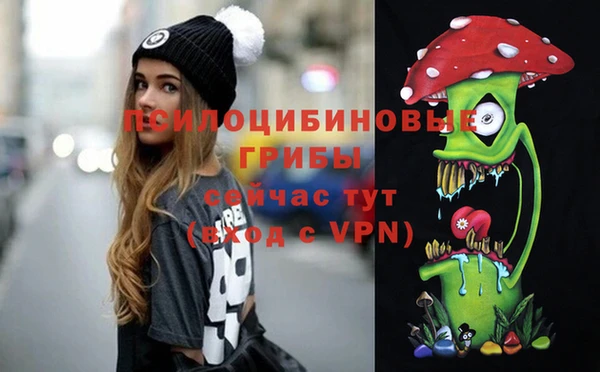 СК Зерноград