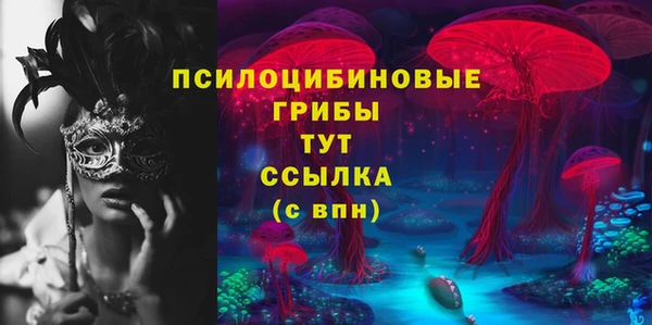 стафф Зеленокумск