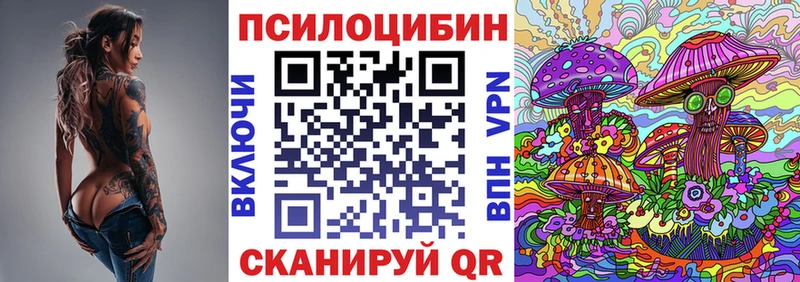 Купить где  Завитинск  Галлюциногенные грибы GOLDEN TEACHER 